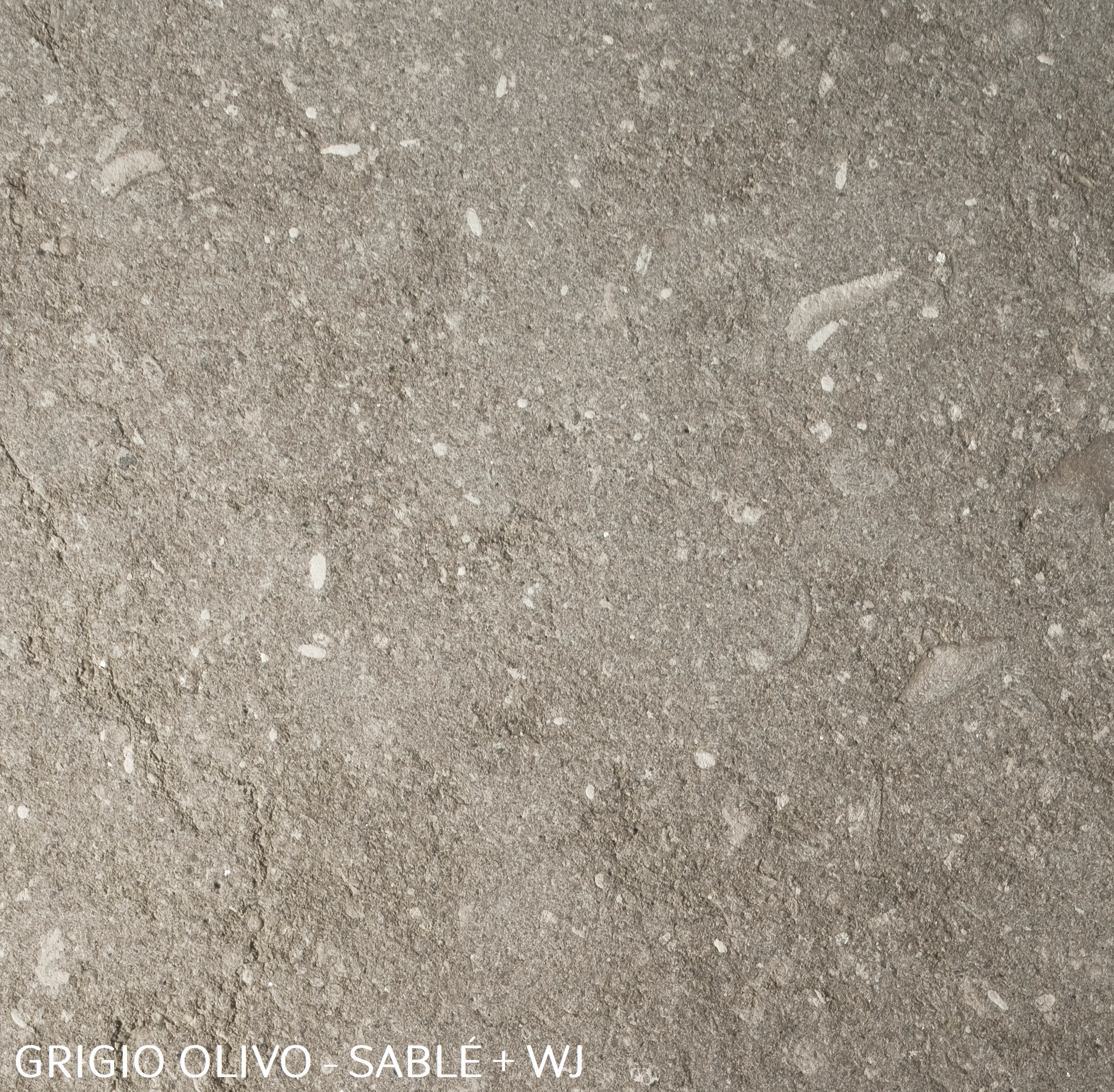 Grigio Olivo - SABLÉ + WJ.jpg